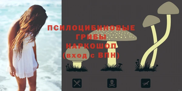 хмурый Кулебаки