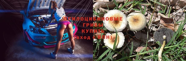альфа пвп Кукмор