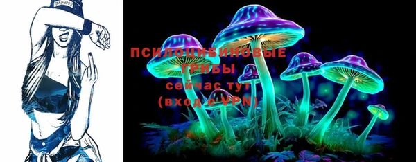 марки lsd Инта