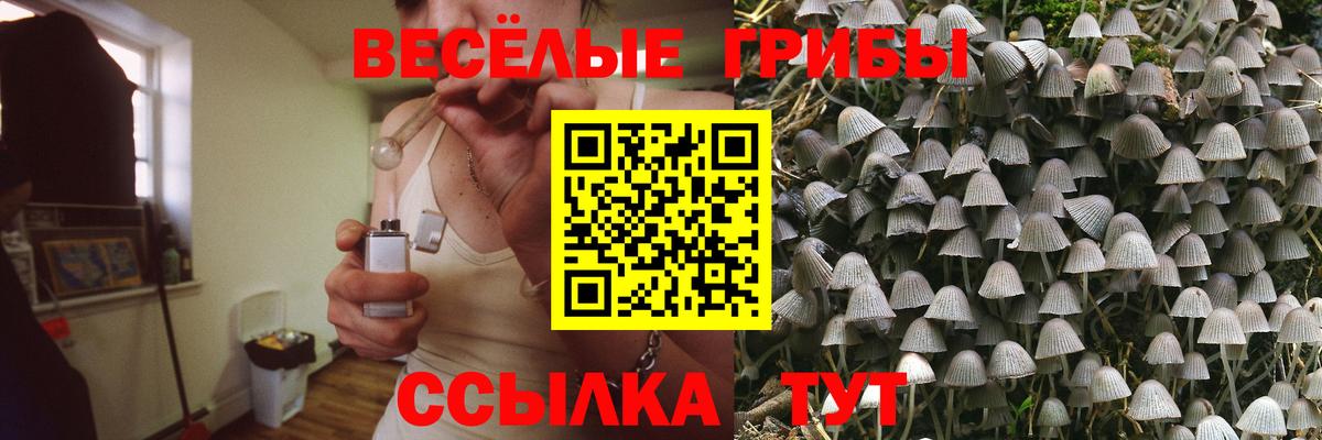 Галлюциногенные грибы Psilocybe  Вход с VPN  Галлюциногенные грибы прущие грибы  Алапаевск 